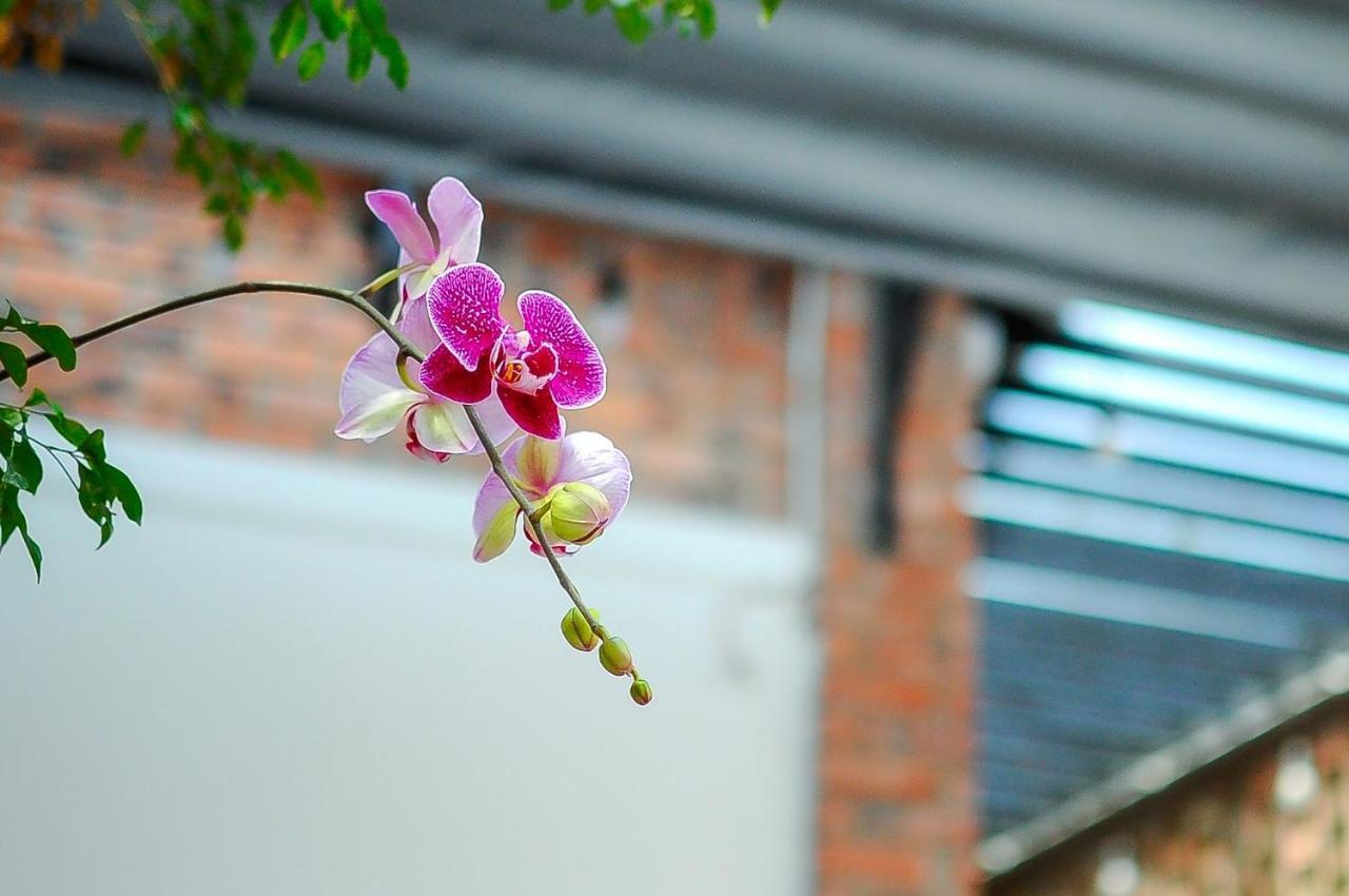 Chi Homestay #4 Huế Ngoại thất bức ảnh